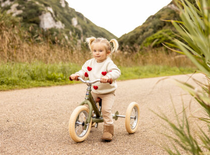 Trybike