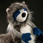 Przytulanka Szop 32cm pluszowa maskotka zabawka sigikid - 7